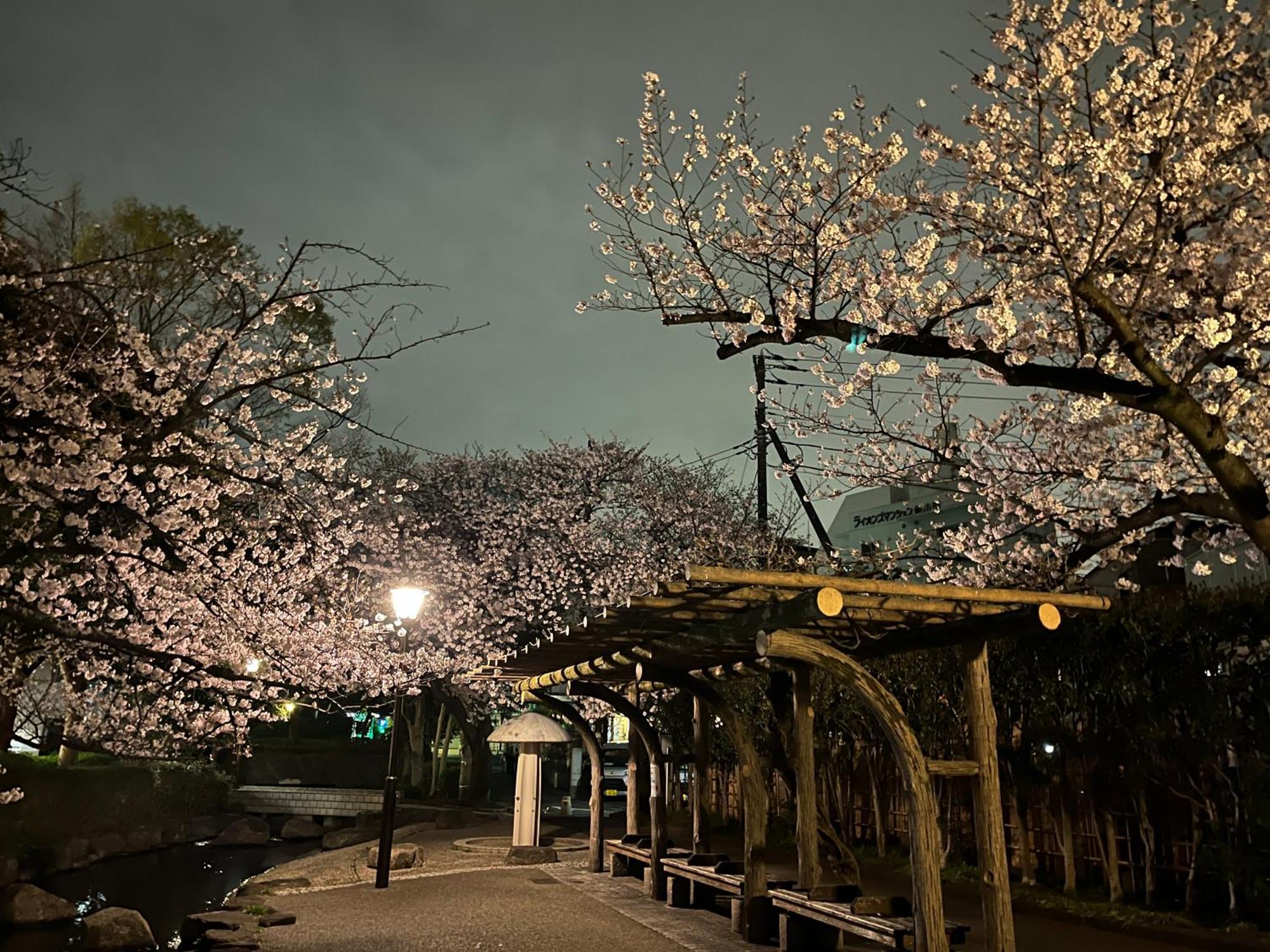 東京都松島雅居公寓 外观 照片