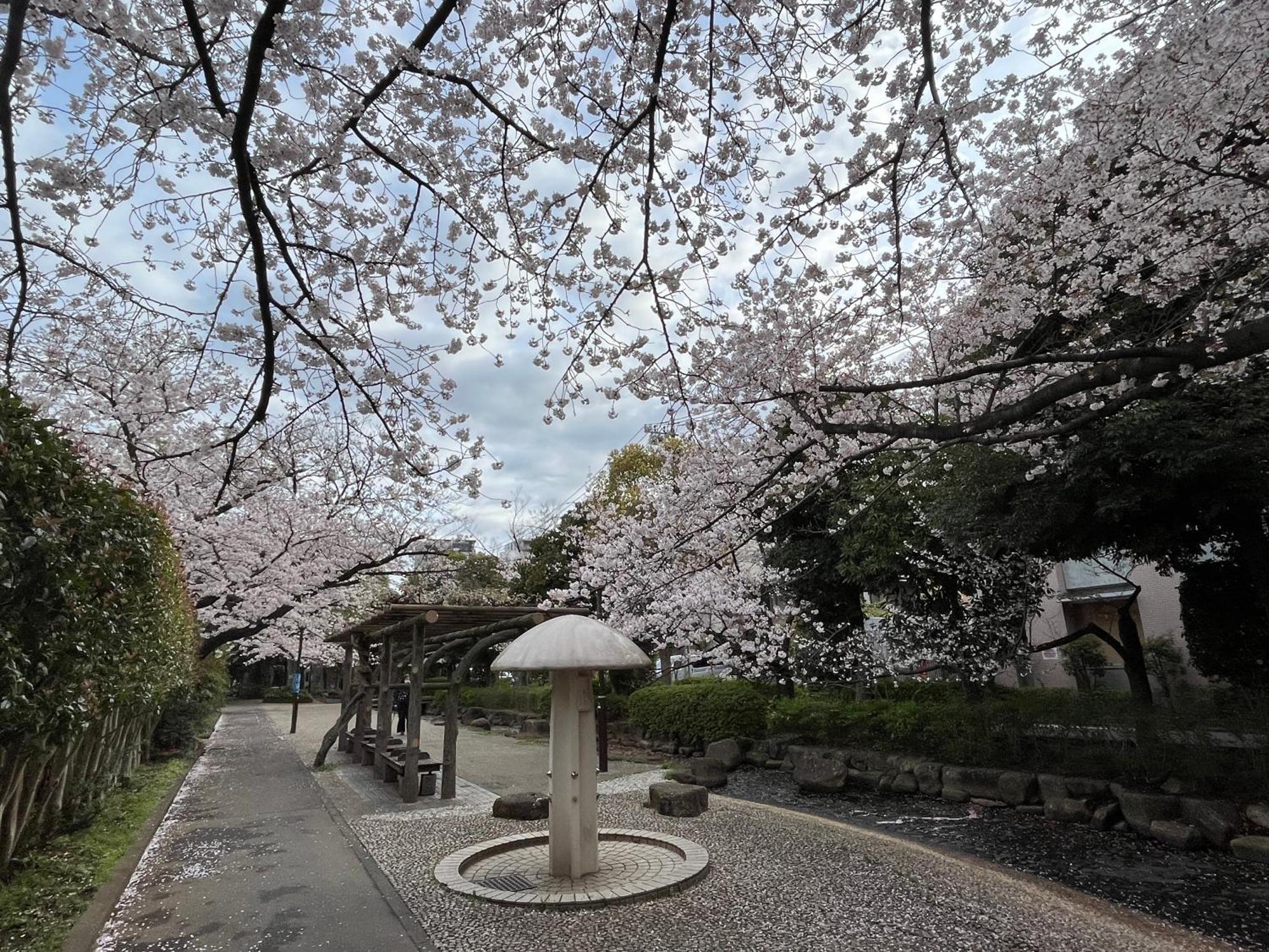 東京都松島雅居公寓 外观 照片